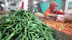 Tenang, Jelang Nataru Stok Pangan Aman dan Harga Diprediksi Disperindagkop Kaltim Tetap Stabil