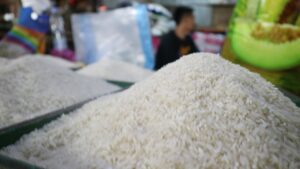 Harga Beras di Samarinda Naik-Turun, Pemkot Kekeh Operasi Pasar Selesaikan Masalah