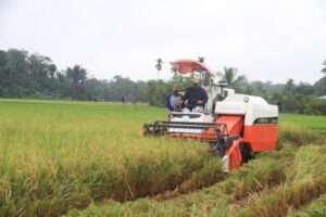 Bappeda Kukar Teliti Kelayakan Usaha Lima Kawasan Pertanian Terpadu