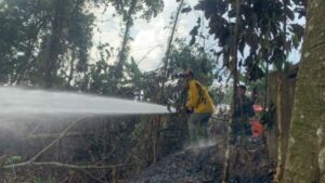 BPBD Kaltim: Jangan Membakar Lahan