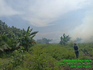 Kutim Kembali Dilanda Kebakaran Lahan, Penanganan Cepat dari BPBD