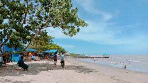 Eco Wisata Mangrove Sambil Menikmati Keindahan di Pantai Kersik