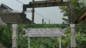 Program FCPF-CF, Dinas PLTR Kutim Sambangi Miau Baru dan Nehas Liah Bing