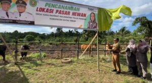 Bupati Ardiansyah Panen Pedet dan Resmikan Pasar Ternak di Teluk Pandan