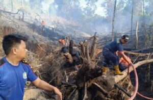 Ancaman Kebakaran Hutan, BMKG Temukan 183 Titik Panas di Kalimantan Timur