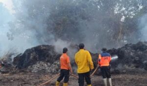 Penanganan Cepat Kebakaran Hutan dan Lahan di Desa Bangun Mulya PPU