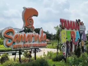 Fenomena Hama Ulat Bulu di Taman Bebaya Samarinda, DLH : Kami Terus Berupaya Mengatasinya