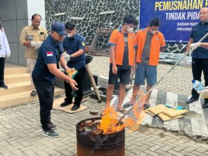 BNNP Kaltim Musnahkan Ganja Seberat 5,6 Kilogram dan Sabu-Sabu Seberat 11,83 Gram
