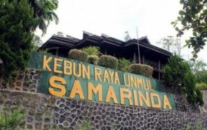 Lama Tidak Diurus, Kebun Raya Unmul Makin Hari Kian Memprihatinkan