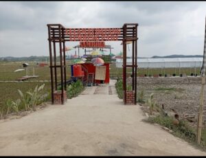 Menikmati Keindahan dan Ketenangan di Lumbung Padi Samboja: Destinasi Wisata Persawahan di Kutai Kartanegara