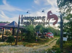 Sensasi Kopi Luwak di Kutai Kartanegara: Menikmati Keunikan di Wisata Kampung Kopi Luwak