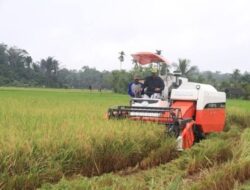 1.300 Hektare Lahan Pertanian di Kukar Belum Dikelola Maksimal