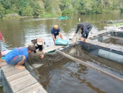 Muara Beloan Bakal Suplai Pangan ke Jakarta