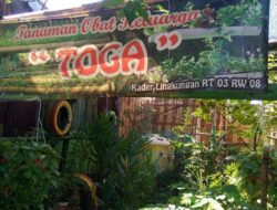 Dari TPA ke Kampung Hijau: Kisah Sukses Kampung Berseri Astra