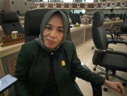 Kasus Serangan Buaya di Kutai Timur, Legislator Minta Pengawasan Lebih Ketat