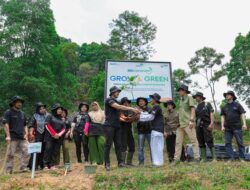Dari Tambang ke Tani: Kelompok Tani Pulihkan Hutan Bersama BRI Menanam-Grow & Green