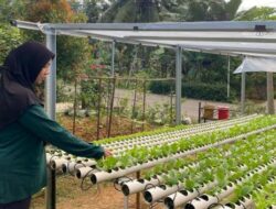 Kukar Jadi Episentrum Petani Milenial di Kaltim: Generasi Baru Pertanian yang Berbasis Teknologi