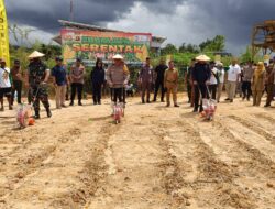 Polresta Samarinda Bersama Pemerintah Kota Wujudkan Swasembada Pangan melalui Penanaman Jagung Serentak