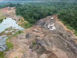 Hutan Kaltim Terancam Tambang Ilegal, Dishut Tekankan Peran Pemegang Izin