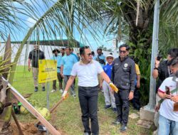 Hijaukan Kota, Pemprov Kaltim Gaungkan Aksi Tanam Pohon di Stadion Kadrie Oening