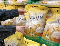 Bulog Gandeng Indomaret dan Alfamart Salurkan Beras SPHP, Harga Tetap Dikendalikan
