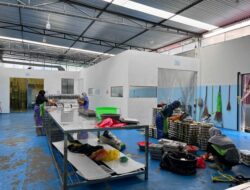 SPPG Klarifikasi Soal MBG di SMAN 13 Samarinda Disebut Berbau Tak Sedap dan Ada Ulat di Sayur