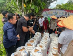 Panen Raya Jagung Serentak di Kaltim, Polda Catat Produksi 3.842 Ton untuk Ketahanan Pangan
