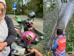 Serangan Ulat Bulu di Taman Bebaya Samarinda, Warga Alami Gatal dan Bentol-Bentol