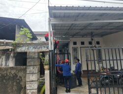 Sudah Seminggu Berkeliaran, Monyet Liar Ganggu Aktivitas Warga Lambung Mangkurat