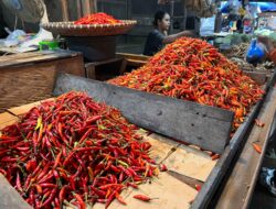 Harga Cabai di Pasar Segiri Mulai Turun Tipis, Pedagang Wanti Wanti Jelang Natal