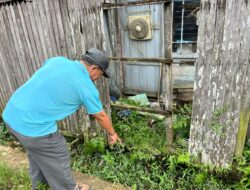 Tangisan Subuh Gegerkan Warga, Bayi Laki-laki Ditemukan Tanpa Busana di Parit Jalan Gerilya Samarinda