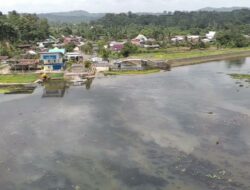 Terlihat Berulang Kali, Kemunculan Buaya di Track Dayung Lempake Picu Kekhawatiran Warga