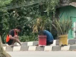Beraksi di Siang Bolong, Pelaku Curi Kabel LPJU di Jalan Letjen Suprapto Samarinda