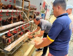 Tak Sekadar Dipenjara, Warga Binaan Lapas Samarinda Dibentuk Jadi Pribadi Produktif Lewat Program Ketahanan Pangan
