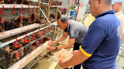 Tak Sekadar Dipenjara, Warga Binaan Lapas Samarinda Dibentuk Jadi Pribadi Produktif Lewat Program Ketahanan Pangan