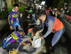 Aksi Nyata di Tengah Keluhan Jalan Rusak, Ghost Aspal Tambal Lubang Jalan Ahmad Yani Secara Swadaya