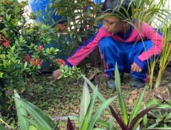 Bersih Sekolah, Nyaman Belajar, SDN 009 Sungai Pinang Tanamkan Cinta Lingkungan Sejak Dini