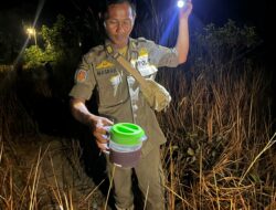Warung Remang-remang di Sungai Kapih Digerebek, Satpol PP Temukan Enam Teko Miras Oplosan