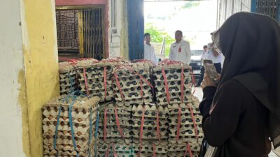 Harga Telur Naik di Samarinda, Pedagang Prediksi Permintaan MBG dan Tahun Ajaran Baru Dorong Kenaikan